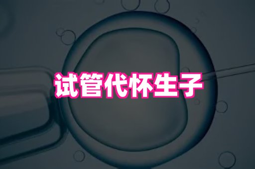 821孕网 4